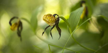 Reportaje en Sallent de Gállego a 