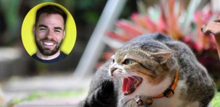 Entre las características más comunes, el estudio identificó dos comportamientos llamativos