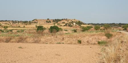 Reto visual: ¿Eres capaz de ver a las tórtolas?