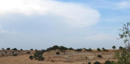 Reto visual: ¿Eres capaz de ver al aguilucho en esta imagen?