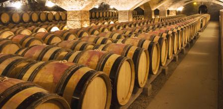 Imagen de archivo de una bodega de vinos