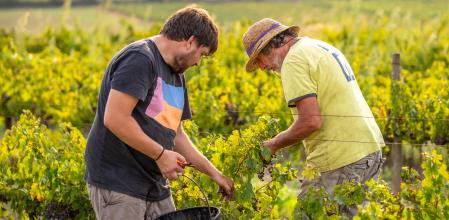 Muchas bodegas empezaron sus negocios modestamente.&nbsp;