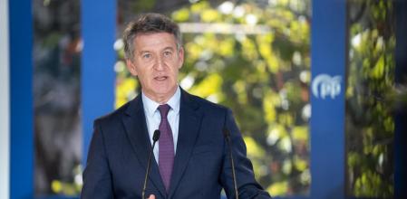 El líder del PP, Alberto Núñez Feijóo.