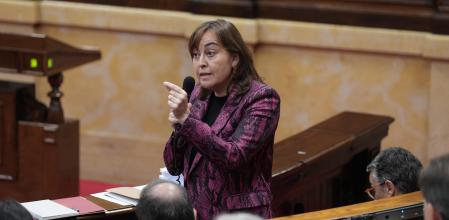 La consellera de Territori, Silvia Paneque, en el Parlament