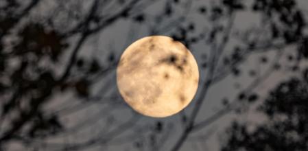 Superluna del Castor, en Manlleu.