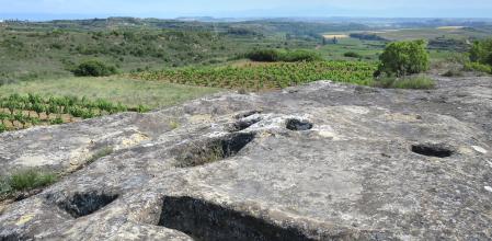 Santurnia, uno de los doce lagares accesibles de Rioja Alavesa