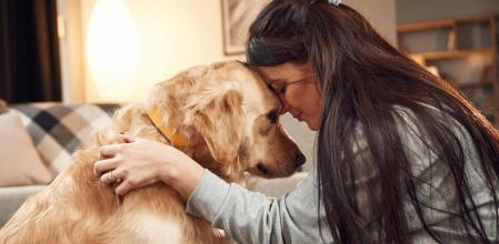 El contacto con perros y gatos ayuda a sobrellevar el dolor en pacientes crónicos.