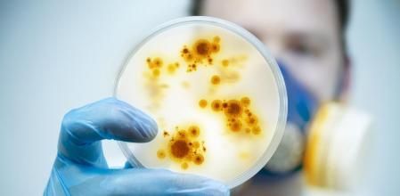 En la imagen, un investigador sostiene una placa de cultivo bacteriano&nbsp;