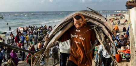 Un porteador de pescado en un mercado de la costa somalí