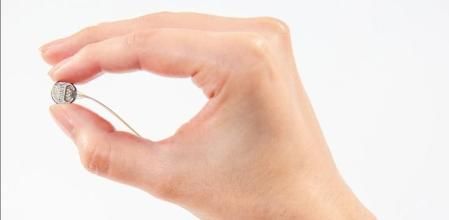 Chip de Paradromics.