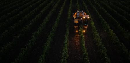 This aerial photograph taken on September 3, 2025 shows a harvesting machine collecting hybrid grape variety for the Tutiac cooperative winery during nighttime operations at vineyards in Civrac-de-Blaye in the Bordeaux region, southwestern France. Hybrid grape varieties, among others considered resistant, are seen as one of the answers to the challenges facing vineyards. (Photo by Philippe LOPEZ / AFP)