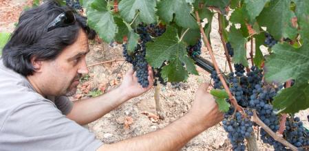 Jaume Giral, fundador de la bodega.&nbsp;