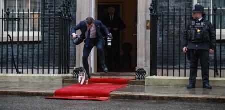 &nbsp;Larry, el gato de the Downing Street casi es pisado por el presidente de Polonia Karol Nawrocki&nbsp;
