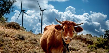 Parque eólico en Castellón, cercano a Teruel