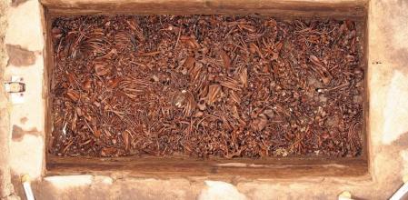 Vista zenital de l'Ofrena 126, on es van localitzar diversos carnívors que van estar en captiveri&nbsp;