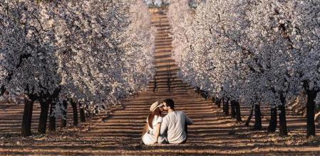 Los almendros ofrecen imágenes de postal