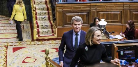 Pleno extraordinario celebrado en el Congreso de los Diputados, este martes, en Madrid. Alberto Nuñez Feijoo