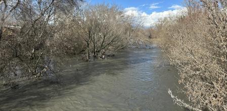 Vista de la crecida del río Jarama, donde se ha activado la alerta hidrológica ante el aumento del caudal y el riesgo de desbordamiento.
