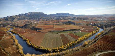 El río Ebro recorriendo viñedos riojanos 