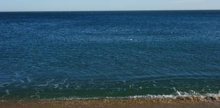Reto visual: ¿Cuántas gaviotas y boyas hay en el mar?