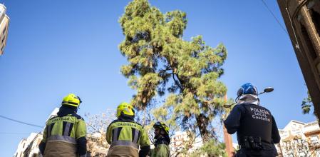 &nbsp;Efectivos de los bomberos y la policía local vigilan la posible caída de un árbol en Castellón.&nbsp;