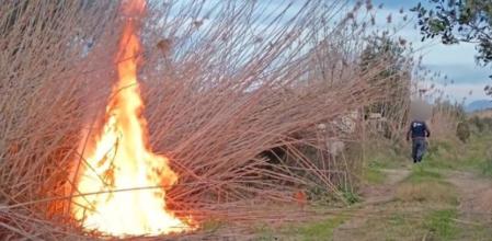 El hombre abandona la zona tras incendiar cañizo en la zona natural