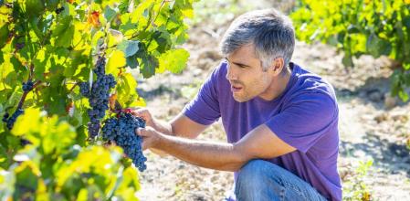 La región puede beneficiar (o perjudicar) a la reputación del producto final.&nbsp;