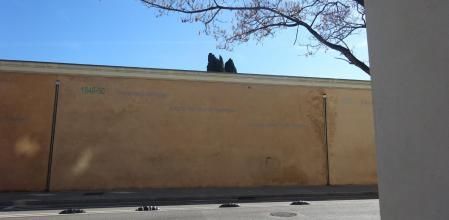 Reto visual: ¿Eres capaz de ver la rana en menos de 30 segundos?