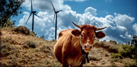 Zona del Maestrazgo turolense cercana al parque eólico Todolella, ya en la provincia de Castellón