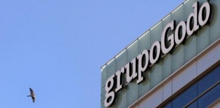 La torre Barcelona. Las torres de la Diagonal son atalayas perfectas para otear el horizonte, detectar los peligros y observar las presas de los halcones