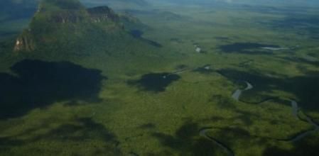 Imagen de la selva amazónica