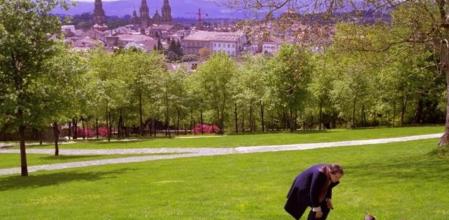 La catedral de Santiago desde el parque de Bonaval, en el barrio de San Pedro