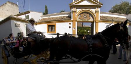 El palacio de las Dueñas atrae a curiosos, que no quieren perderse la ocasión de ser protagonistas, aunque sea como espectadores, de la boda de la duquesa de Alba con Alfonso Díez