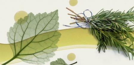 Los aceites esenciales