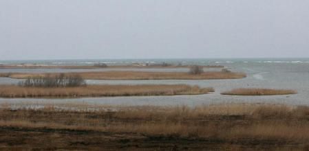 Imagen del Delta del Ebro