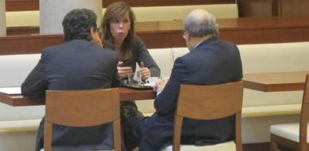 El conseller de Economía, Andreu Mas-Colell; la líder del PP catalán, Alicia Sánchez-Camacho, y el portavoz popular del Parlament, Enric Millo, se han reunido este jueves casi hora y media en el bar de la Cámara para abordar la mediación del PP de Catalunya en las relaciones Generalitat-Estado.