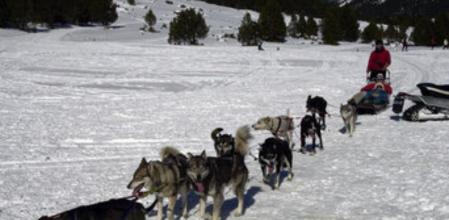 Trineos tirados por perros especializados en la estación de esquí andorrana de Grandvalira Grau Roig