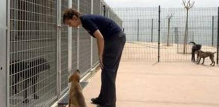 Imagen de un centro de animales de compañía.