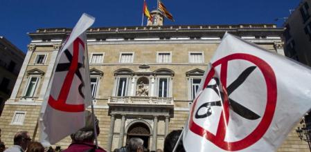 Vista de la concentración a las puertas de la Generalitat