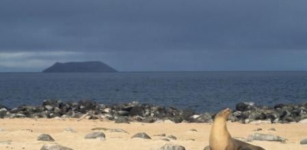 Islas Galápagos, Ecuador