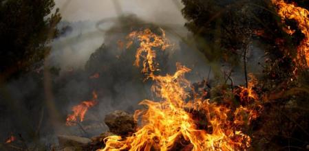 El fuego en Carlet, en las cercanías de Valencia