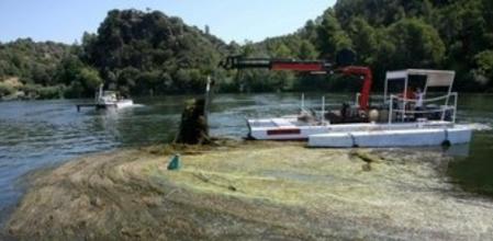 Imagen de archivo de la embarcación dedicada a eliminar algas en el tramo catalán del Ebro, a su paso por Xerta