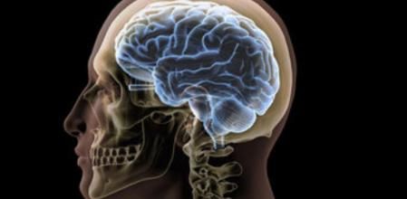 El cerebro humano todavía sigue siendo una gran incógnita