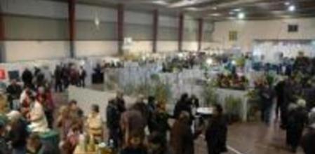 La muestra alcanza este año la XV edición