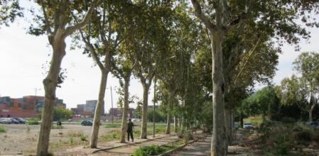 Uno de los descampados que rodean la barriada Eduard Aunós, a medio urbanizar