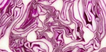 El sentido que más incide a la hora de degustar es el olfato