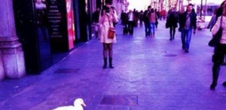 La curiosa imagen que Bar Refaeli ha colgado en su perfil de Instagram