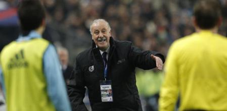 Vicente del Bosque protesta a los árbitros durante el partido ante Francia
