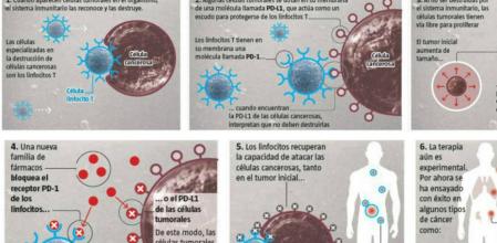 Cómo funcionan los nuevos fármacos contra el cáncer