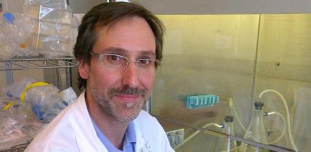 El investigador. Antoni Ribas, en la Universidad de California de Los Ángeles